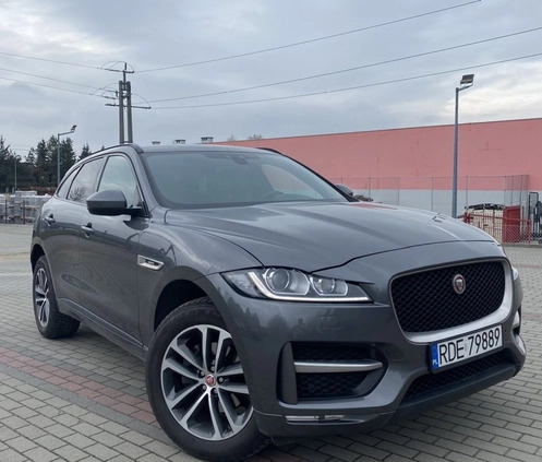 Jaguar F-Pace cena 97800 przebieg: 140000, rok produkcji 2017 z Dębica małe 172